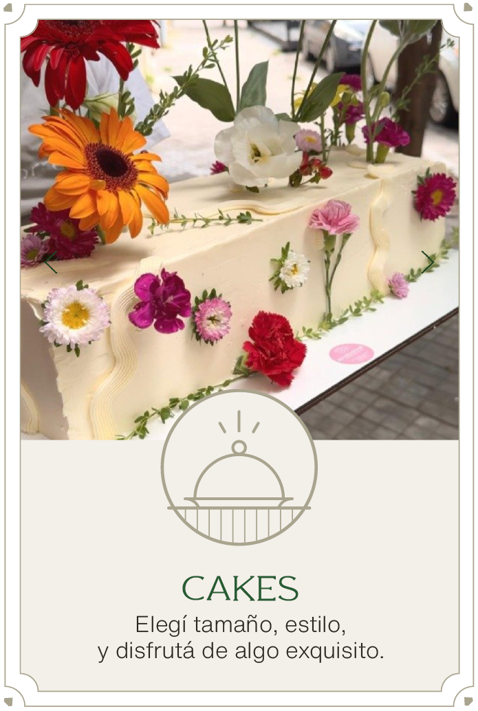 anaborrel_home_web_CAKES